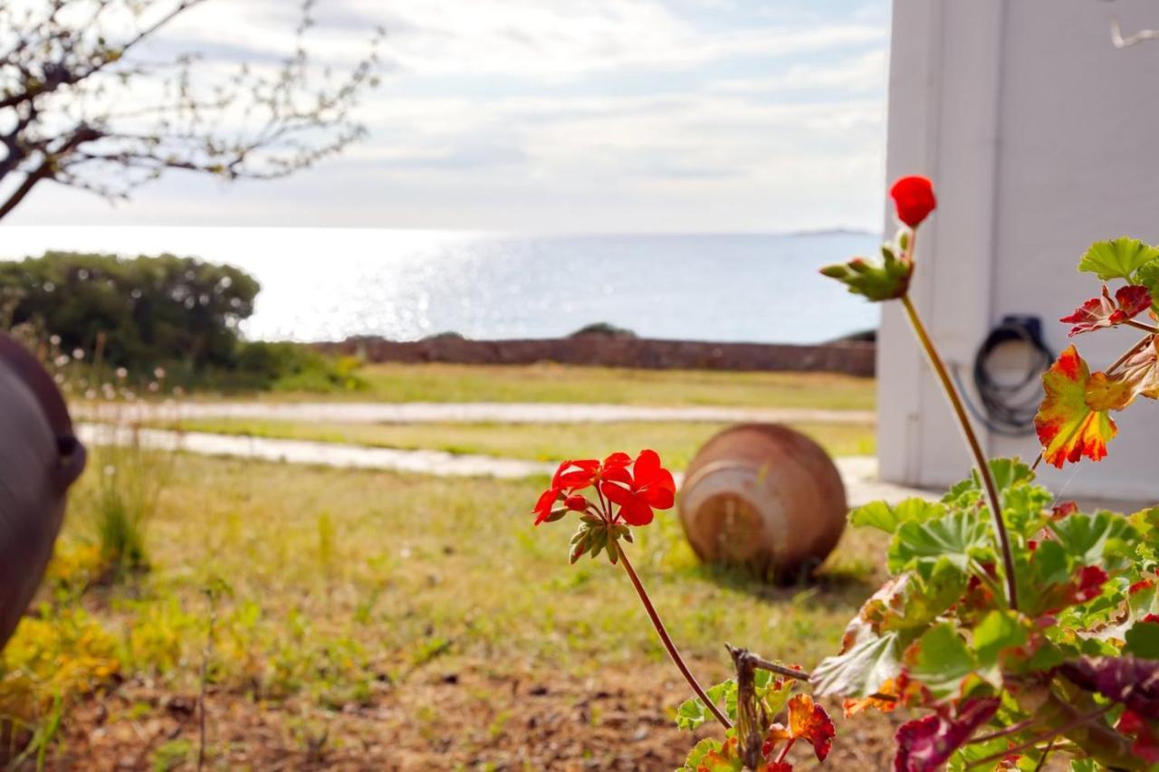 Aroura Homes 4Br Beachfront Villa Σπέτσες Εξωτερικό φωτογραφία